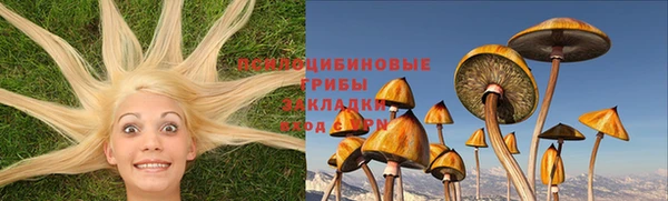 ГАЛЛЮЦИНОГЕННЫЕ ГРИБЫ Нягань