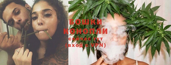 ГАЛЛЮЦИНОГЕННЫЕ ГРИБЫ Нягань