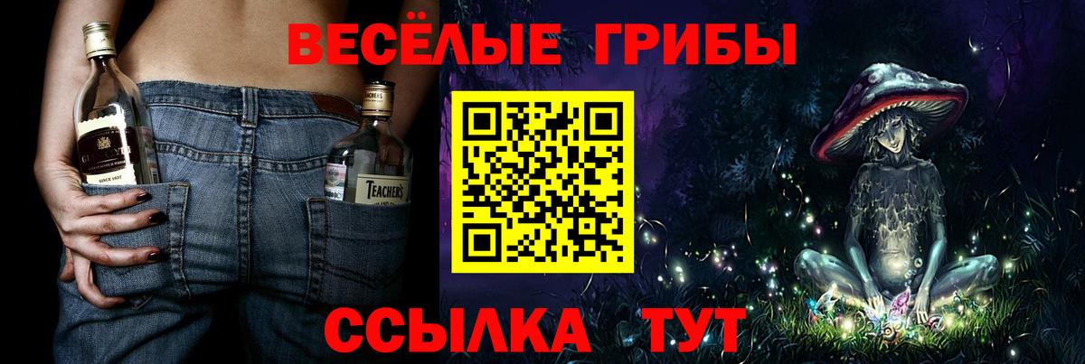 Псилоцибиновые грибы мицелий  Вход с VPN  Шадринск 